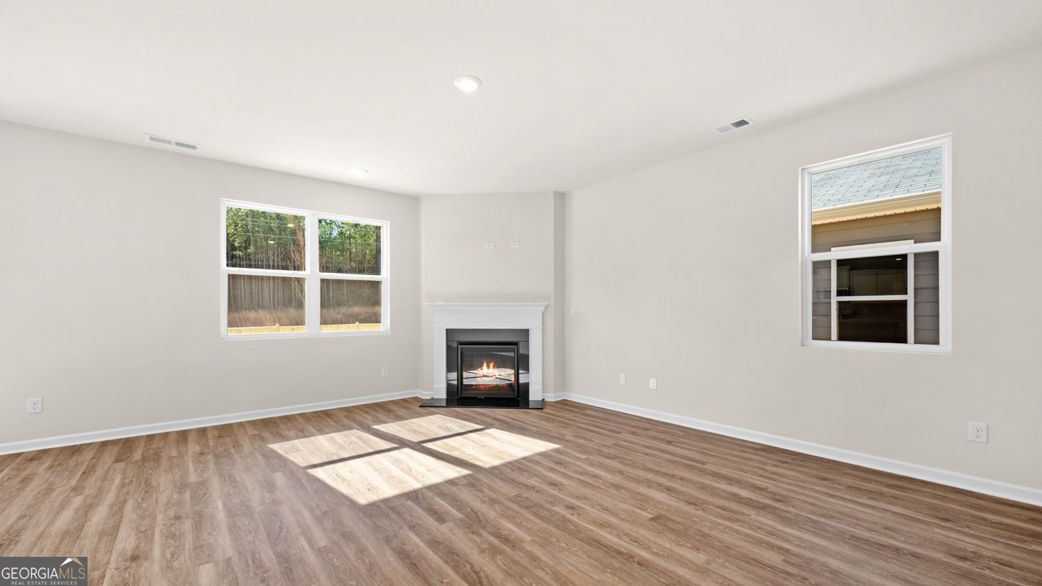 163 White Spruce Way Newnan - Photo 10