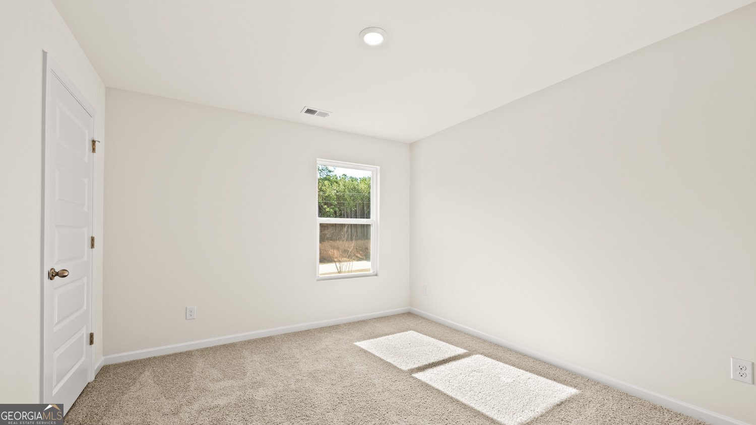 163 White Spruce Way Newnan - Photo 13