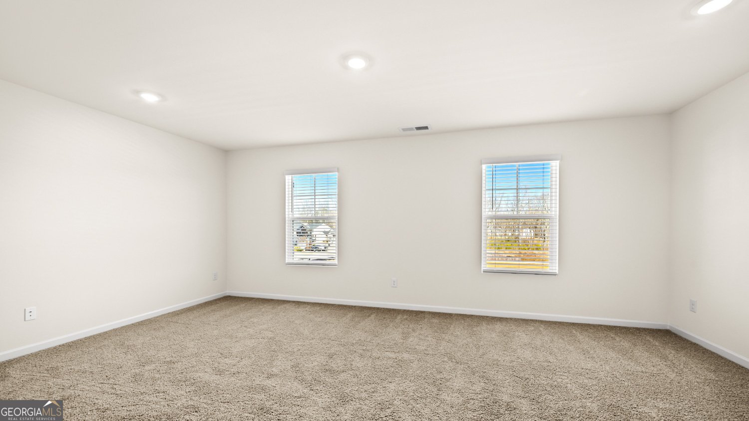 163 White Spruce Way Newnan - Photo 16