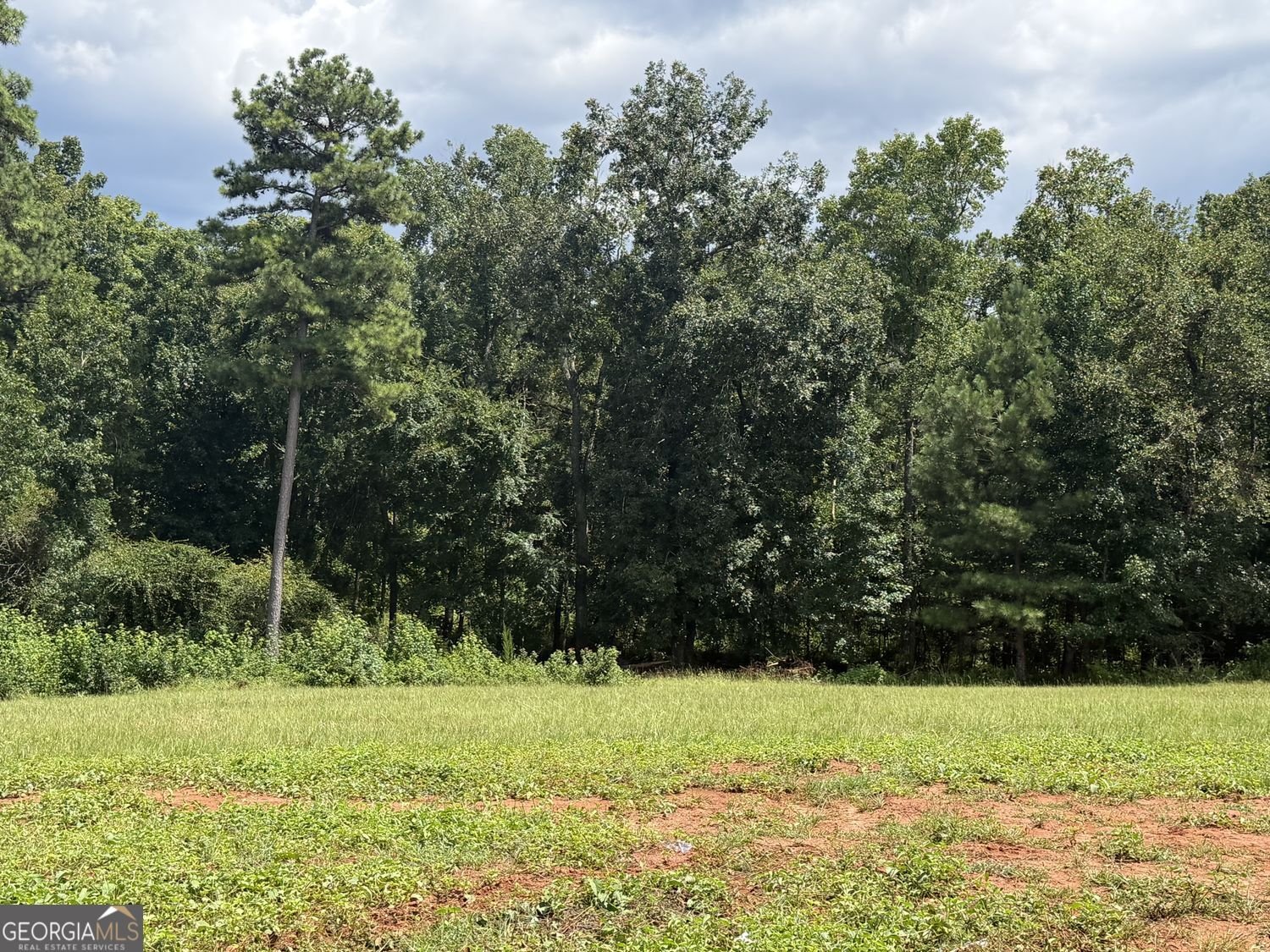 681 Pine Grove Church Road Culloden - Photo 6