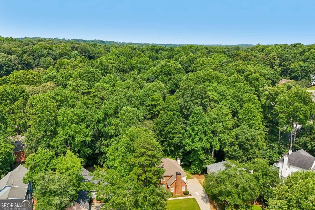 974 Laurel Springs Lane Marietta - Photo 77