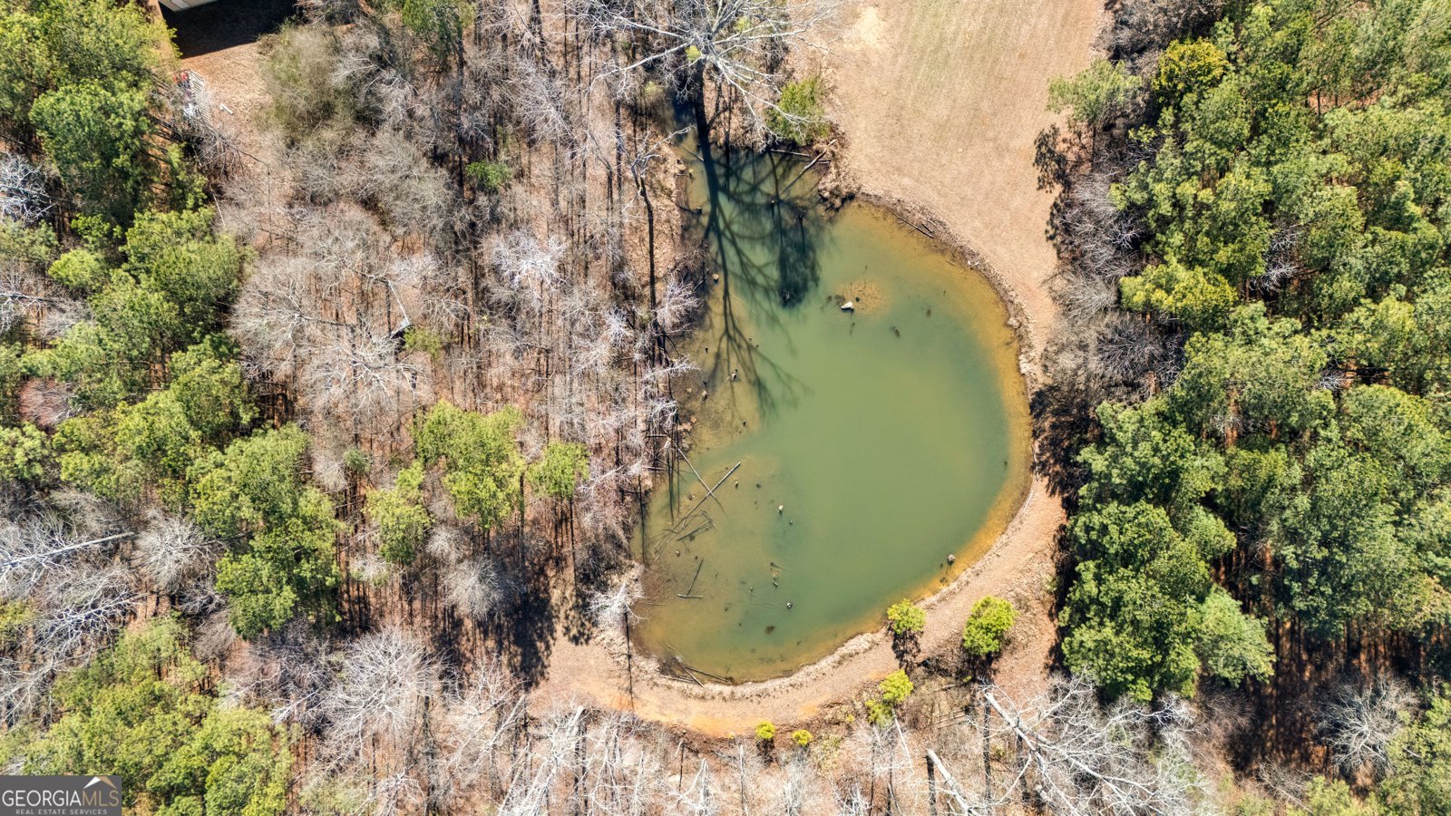4101 Ellis Road Griffin - Photo 129