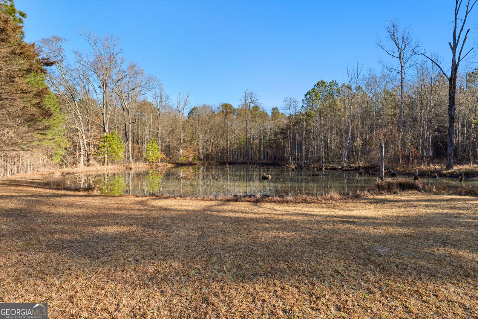 4101 Ellis Road Griffin - Photo 37