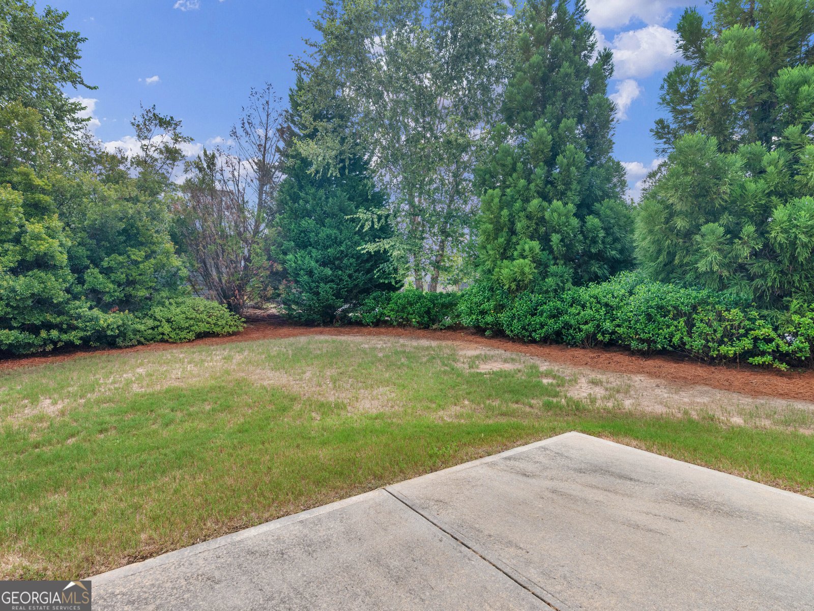 621 Larch Looper Drive Griffin - Photo 8