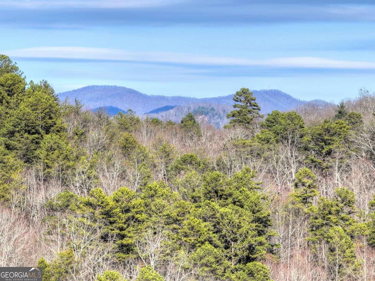 315 River Retreat Road Blue Ridge - Photo 56