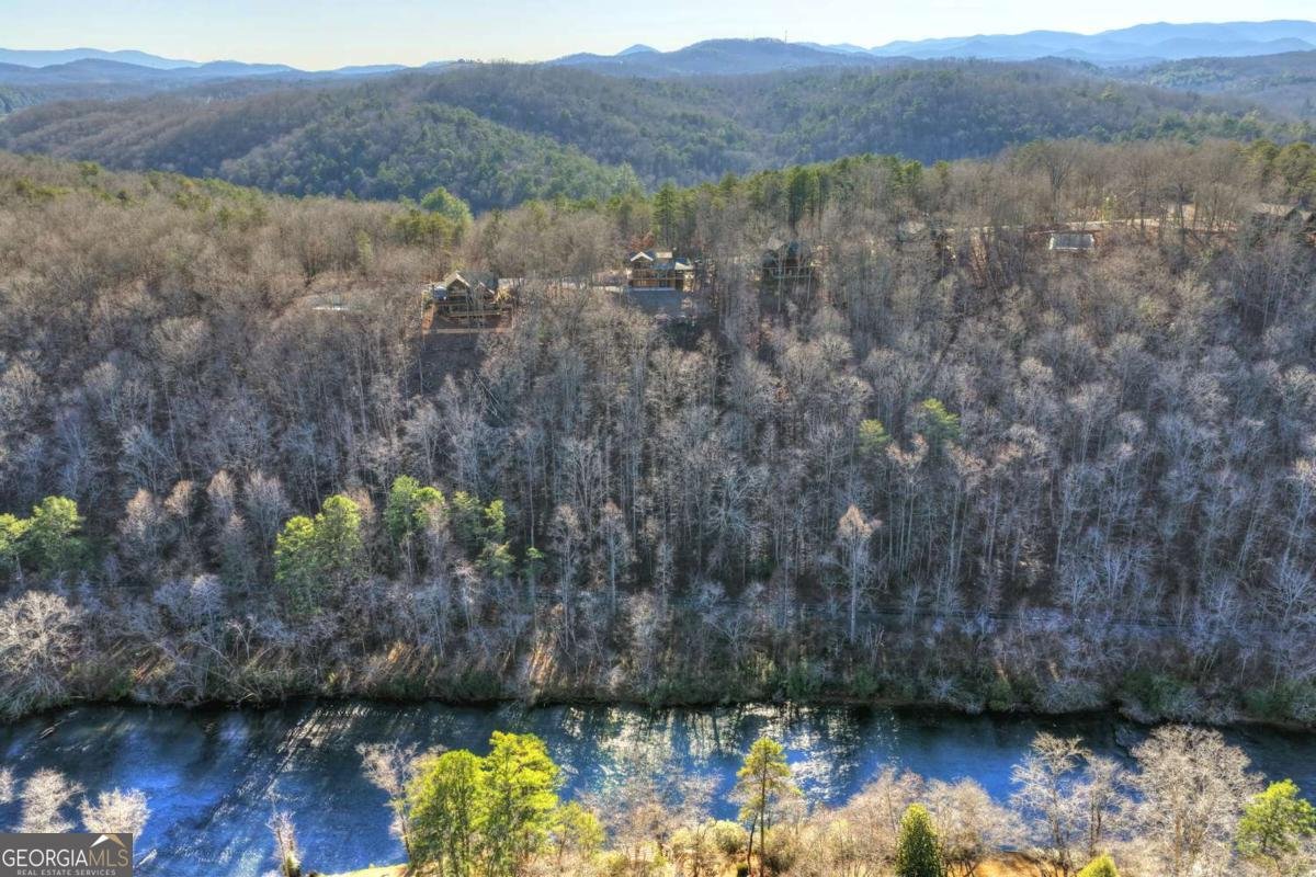 315 River Retreat Road Blue Ridge - Photo 57