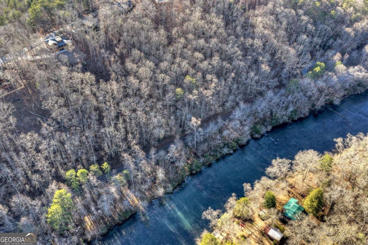 315 River Retreat Road Blue Ridge - Photo 59