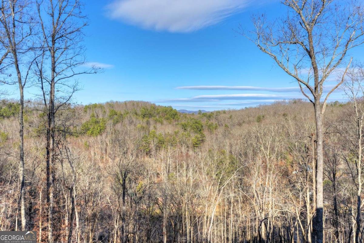 315 River Retreat Road Blue Ridge - Photo 6