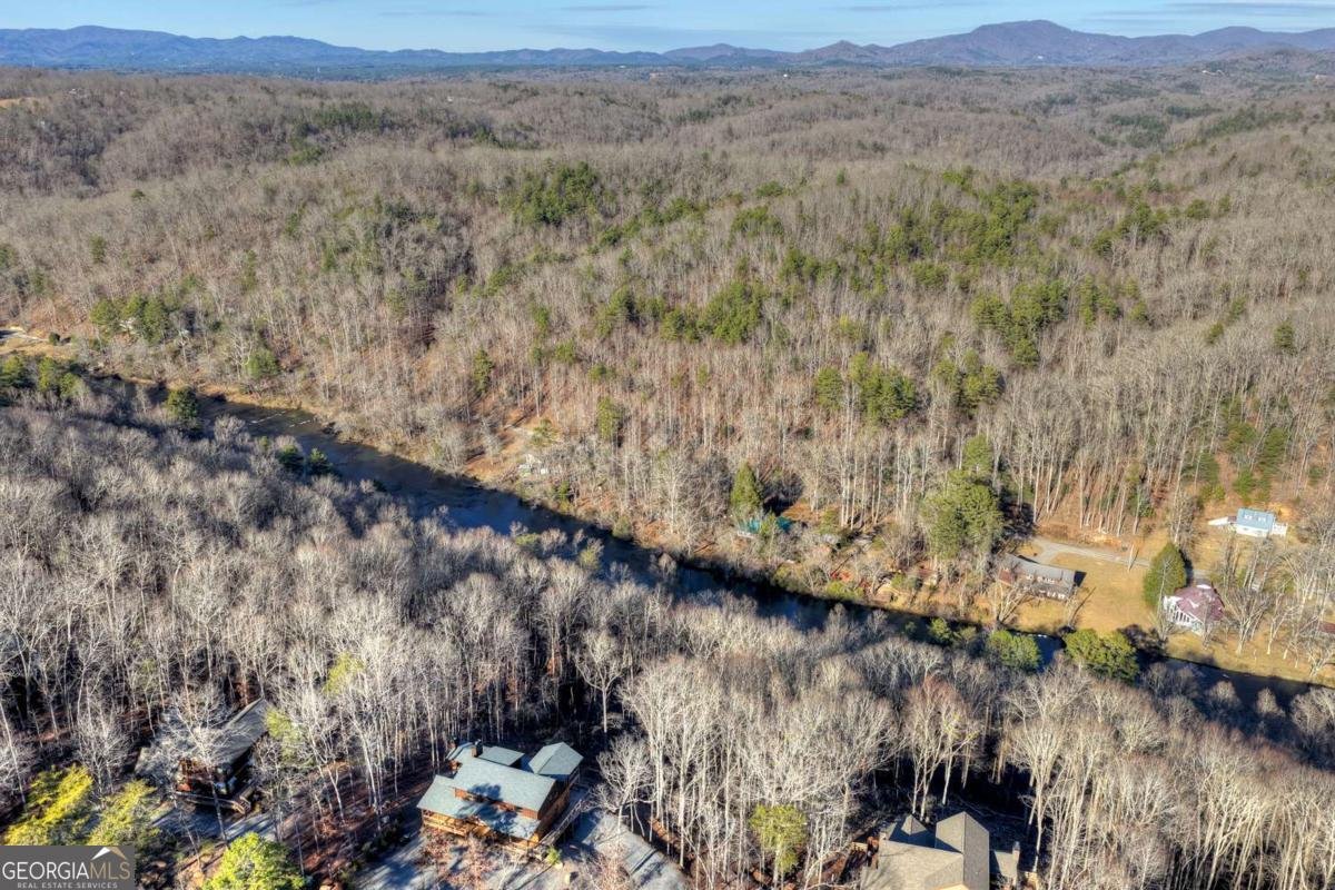 315 River Retreat Road Blue Ridge - Photo 69