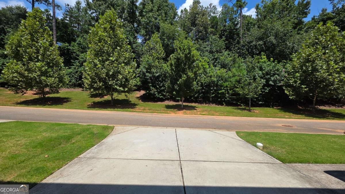 2339 Village Grove Drive Suwanee - Photo 39