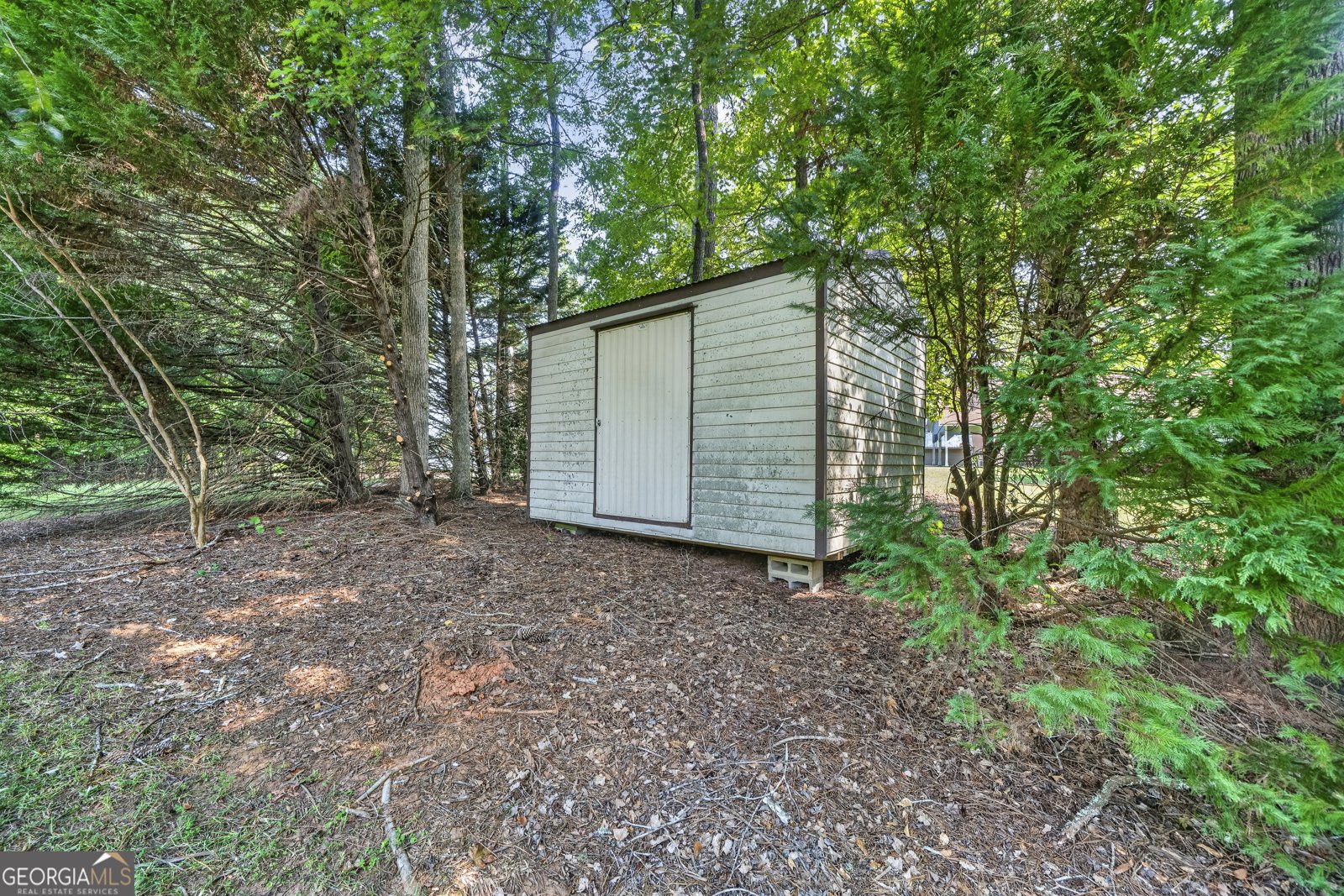 197 Collins Road Milledgeville - Photo 68