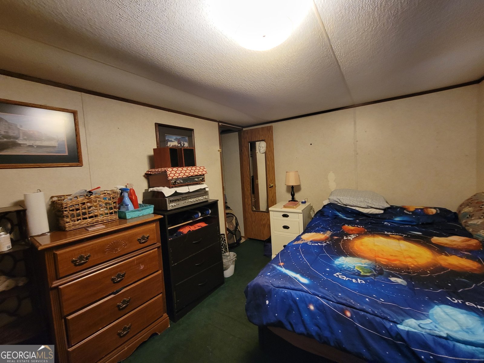 504 Old McElveen Road Brooklet - Photo 10