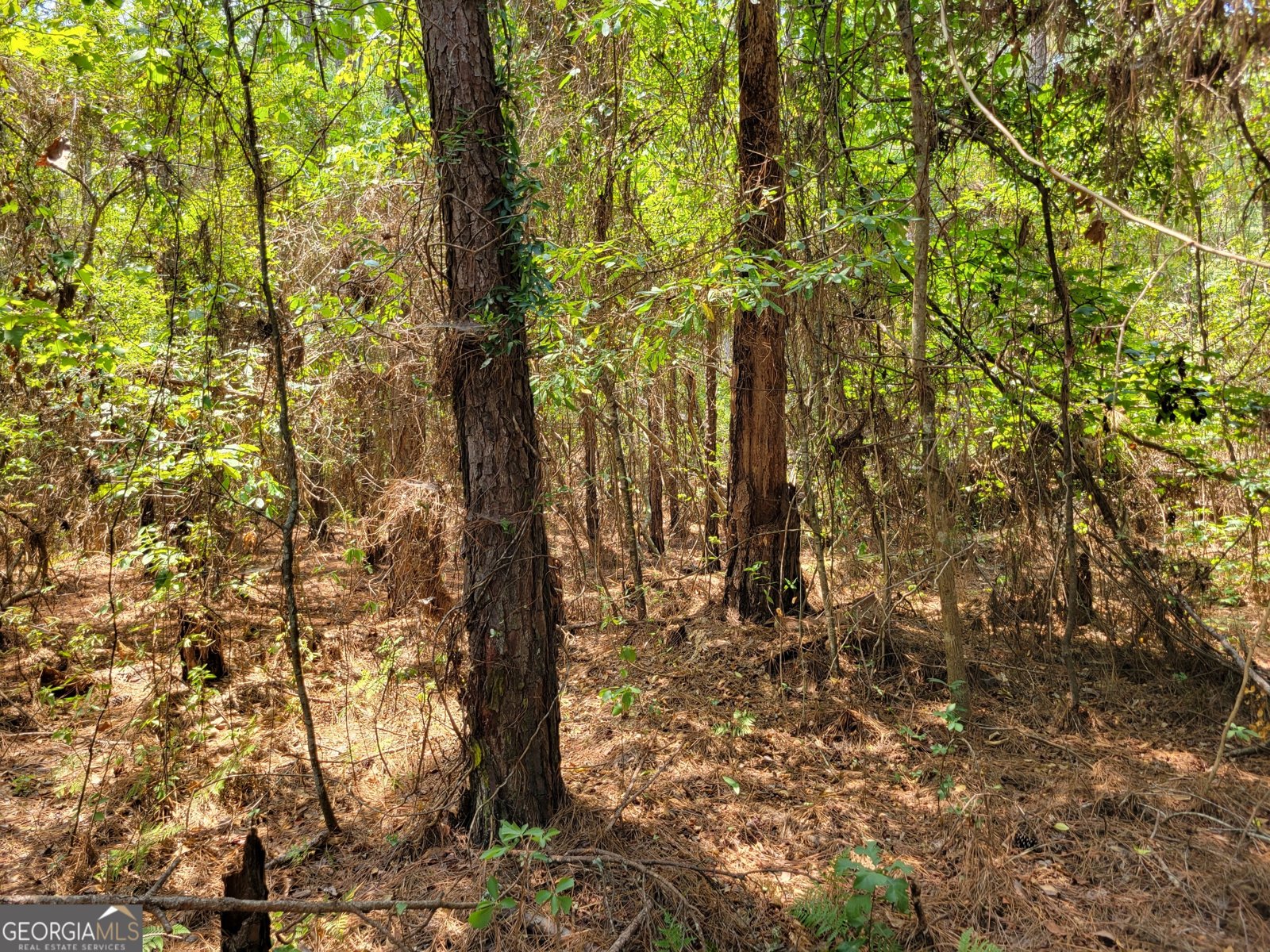 504 Old McElveen Road Brooklet - Photo 21