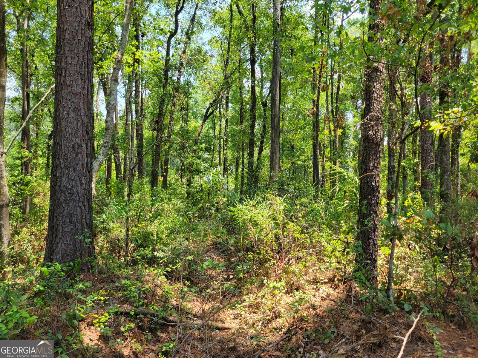 504 Old McElveen Road Brooklet - Photo 22