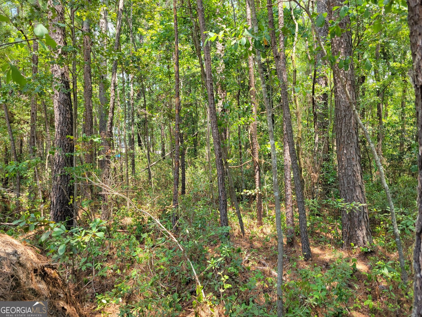 504 Old McElveen Road Brooklet - Photo 23