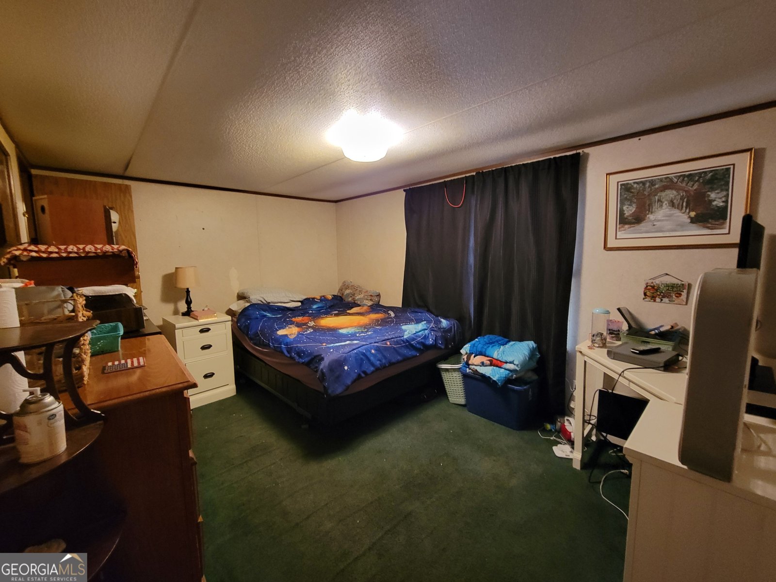 504 Old McElveen Road Brooklet - Photo 9