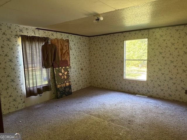 476 Berry Road Cedartown - Photo 11