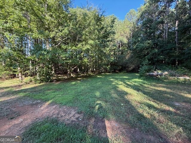 476 Berry Road Cedartown - Photo 15