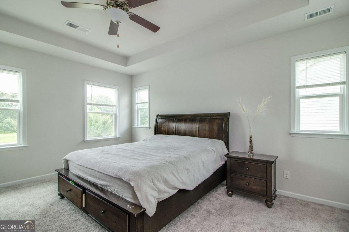 288 cattail lane Lane Winder - Photo 45