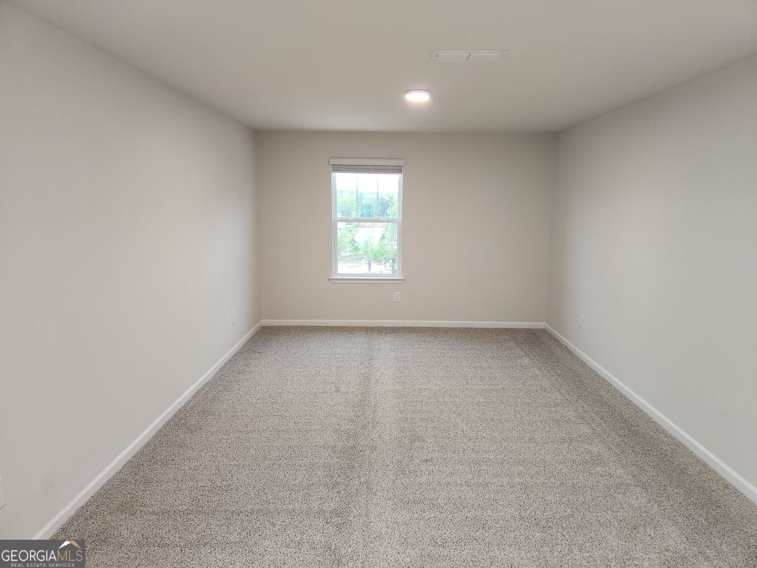 235 Valley Oak Drive Dawsonville - Photo 32