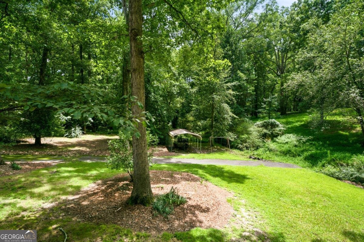 1131 Ednaville Road Braselton - Photo 51