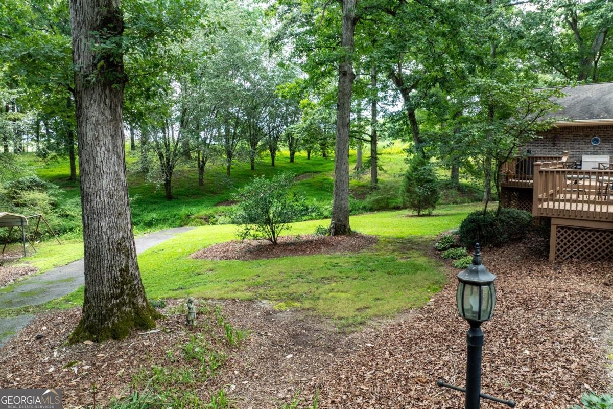 1131 Ednaville Road Braselton - Photo 52