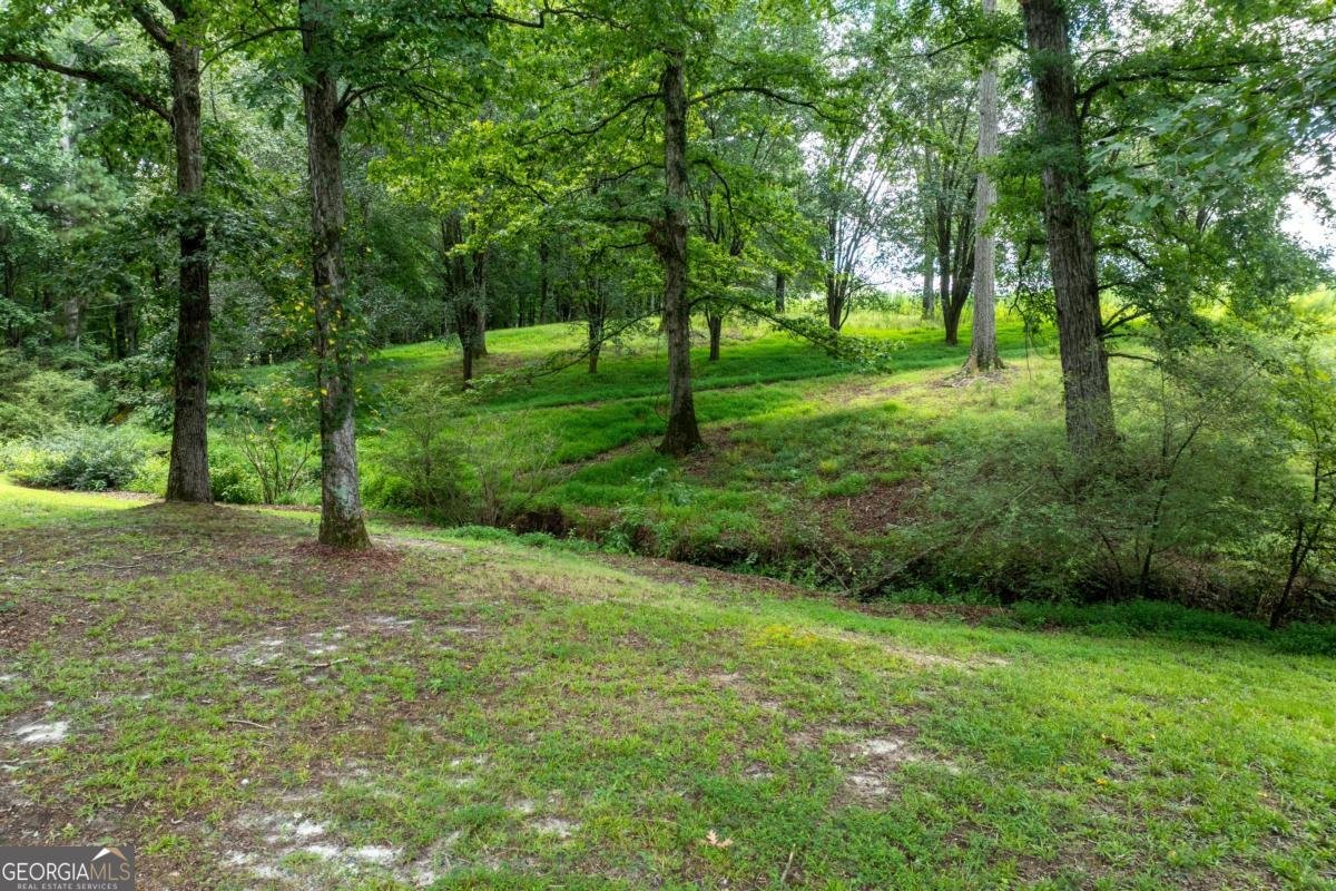 1131 Ednaville Road Braselton - Photo 53