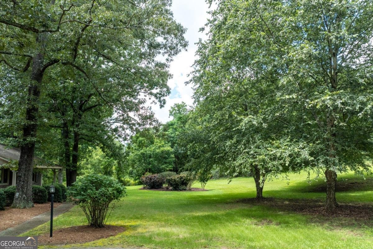 1131 Ednaville Road Braselton - Photo 58