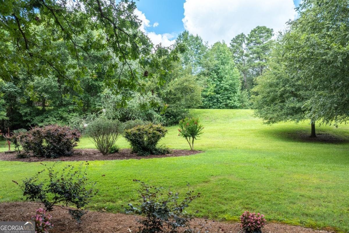 1131 Ednaville Road Braselton - Photo 59