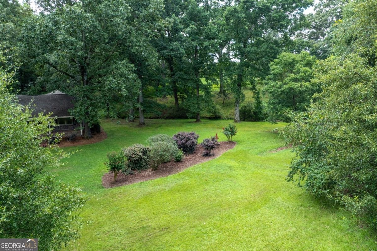 1131 Ednaville Road Braselton - Photo 61
