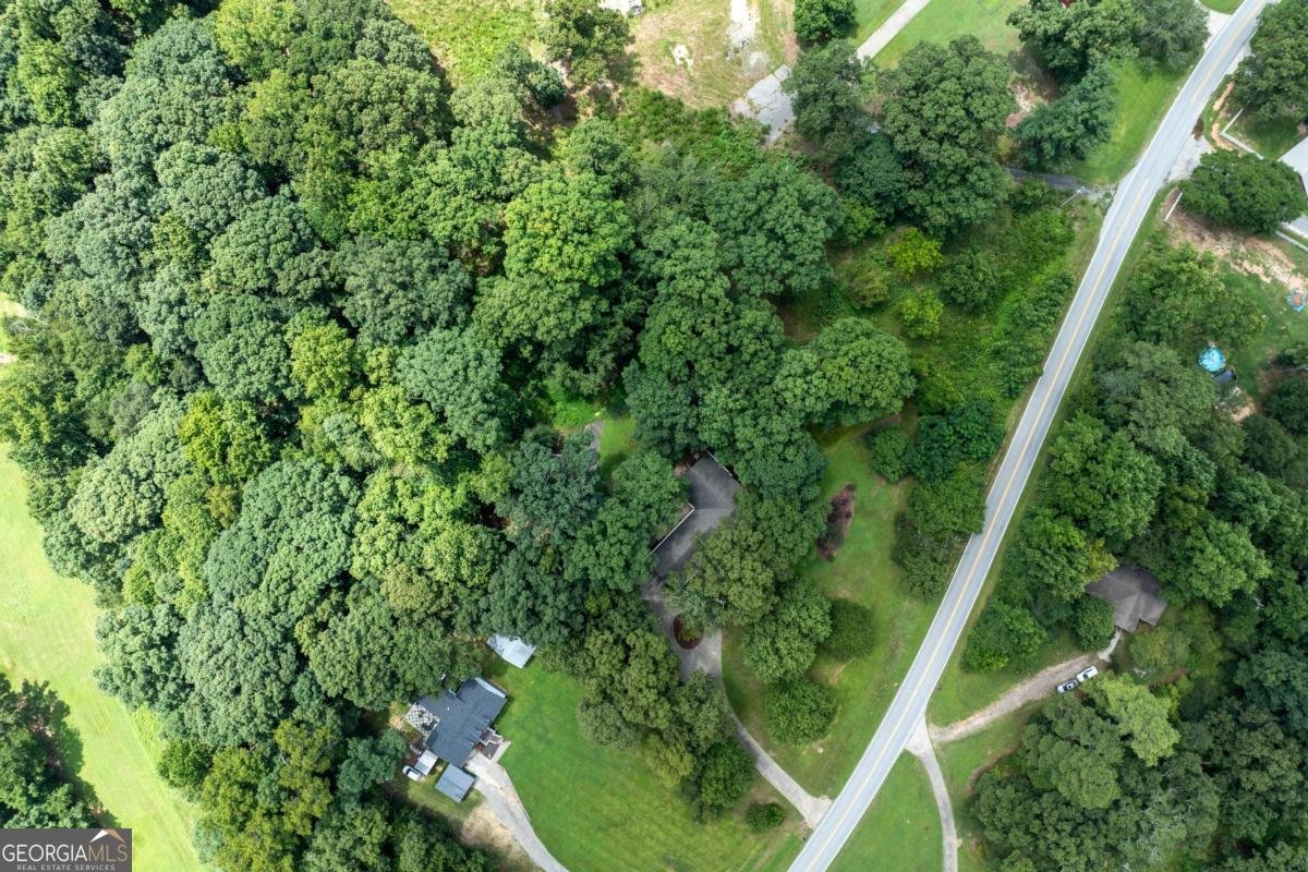 1131 Ednaville Road Braselton - Photo 66