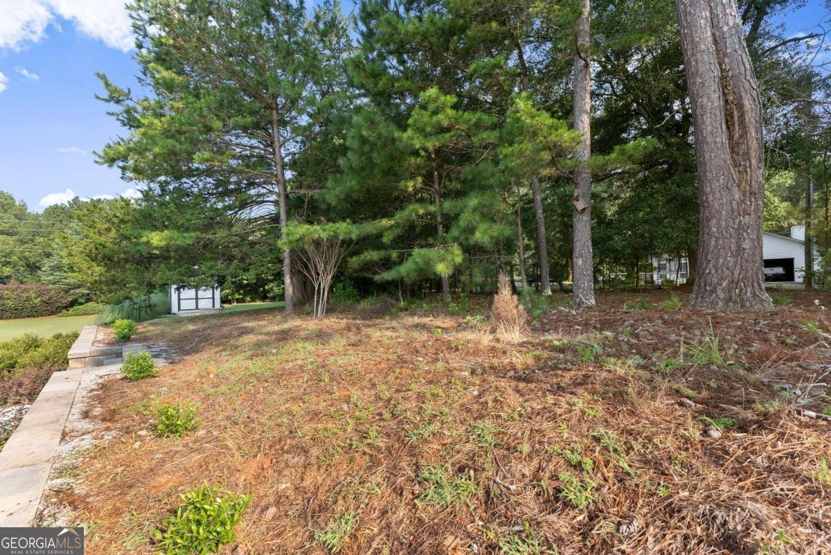 3875 Spring Ridge Drive Cumming - Photo 50