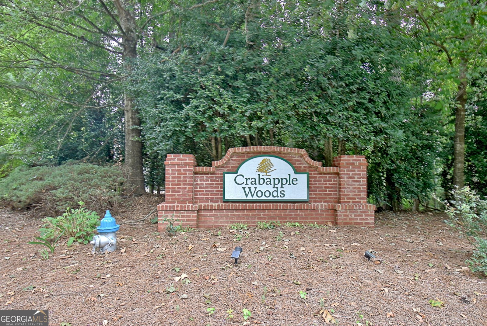 314 Grovewood Lane Peachtree City - Photo 102