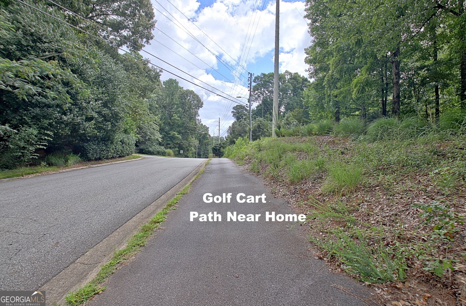 314 Grovewood Lane Peachtree City - Photo 98