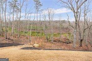 265 Fountain Oak Way Canton - Photo 49