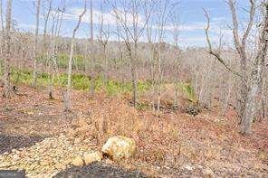 265 Fountain Oak Way Canton - Photo 50
