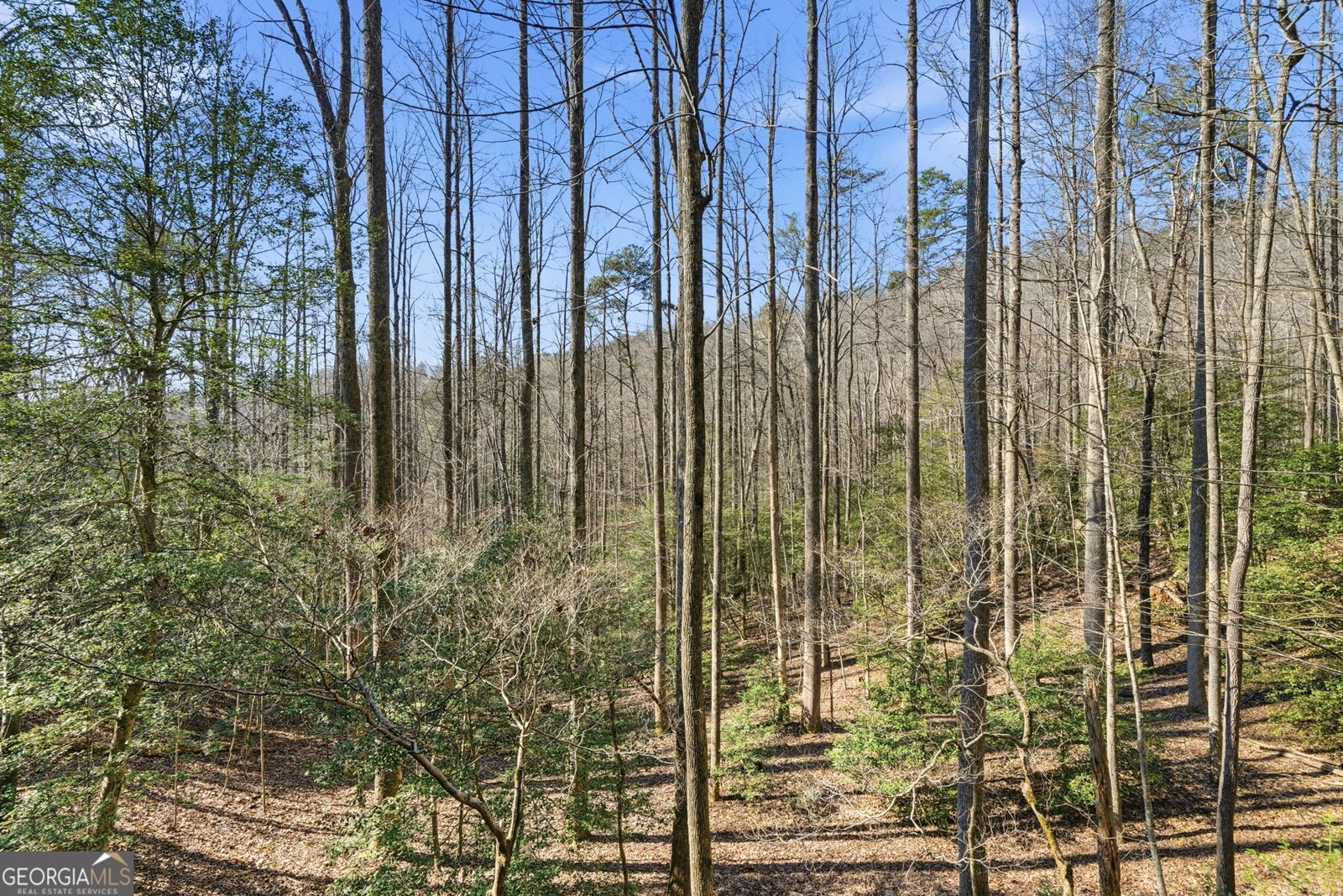 266 Chimney Rock Road Cherry Log - Photo 29