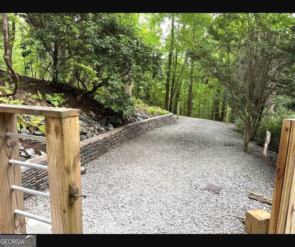 266 Chimney Rock Road Cherry Log - Photo 31