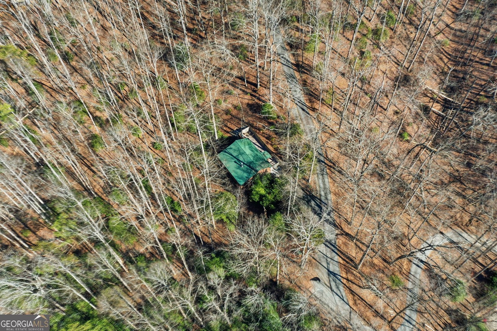 266 Chimney Rock Road Cherry Log - Photo 33