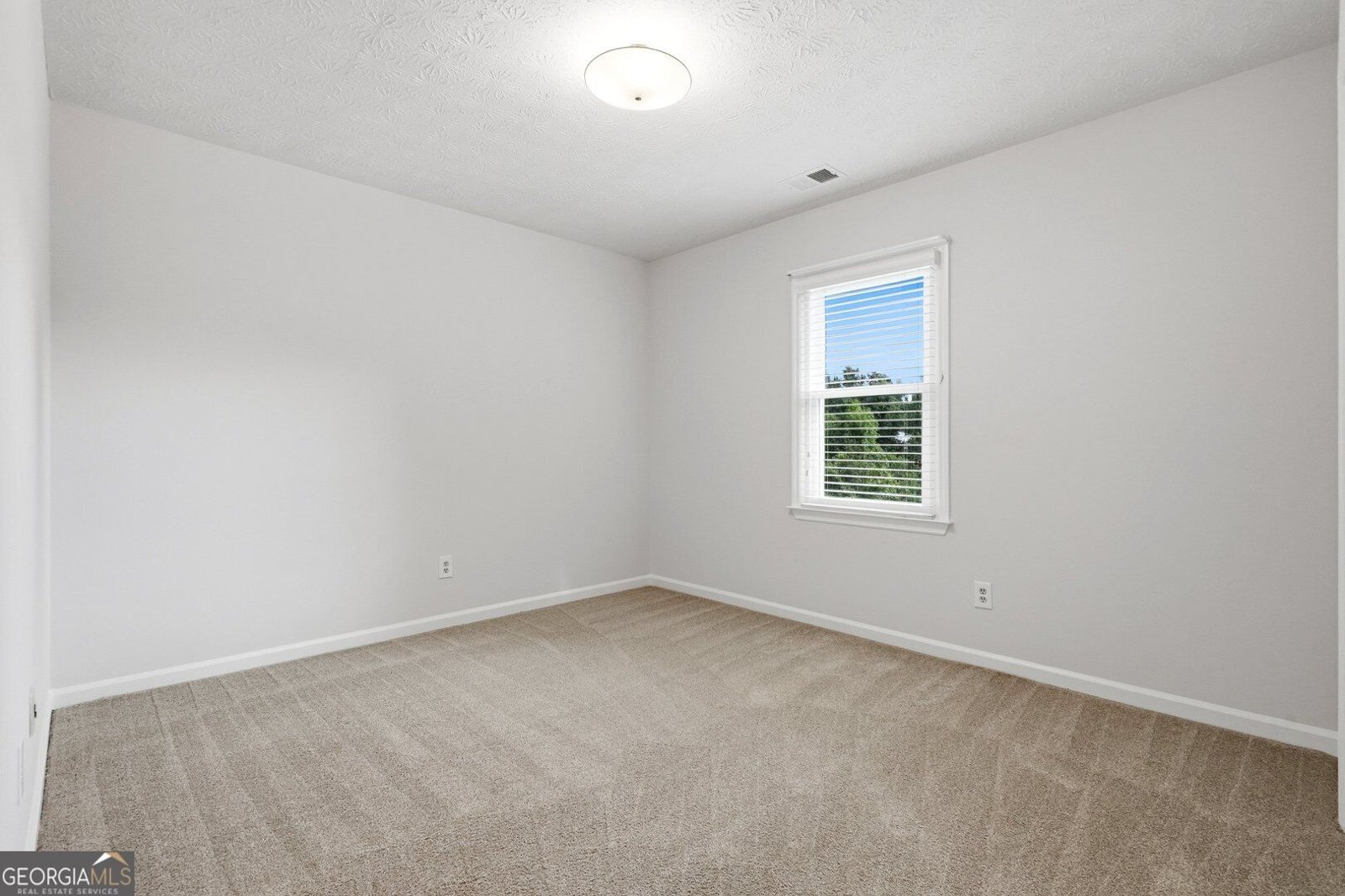 215 Birch Hollow Place Alpharetta - Photo 33