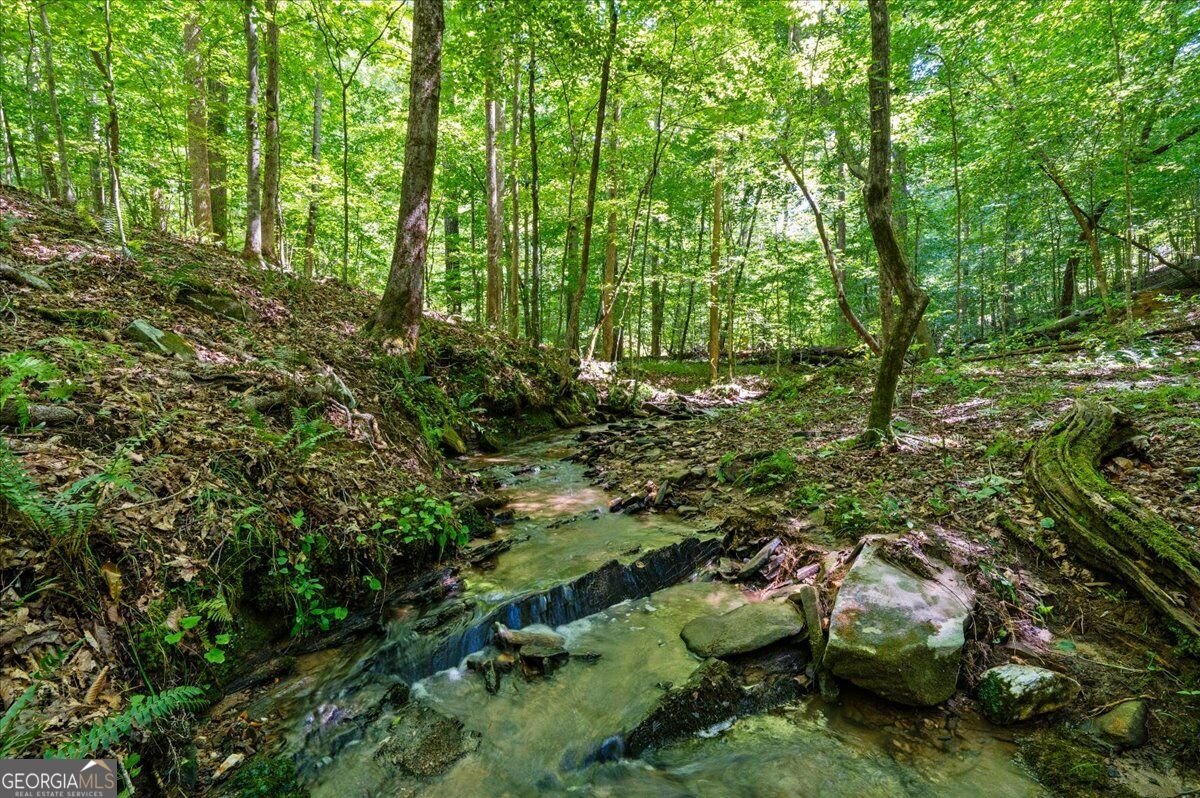 30 Chancel Circle Ellijay - Photo 43