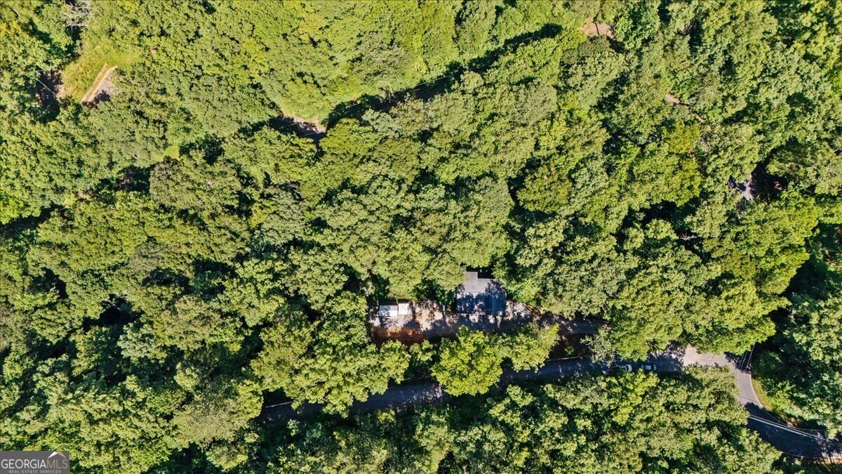 30 Chancel Circle Ellijay - Photo 49