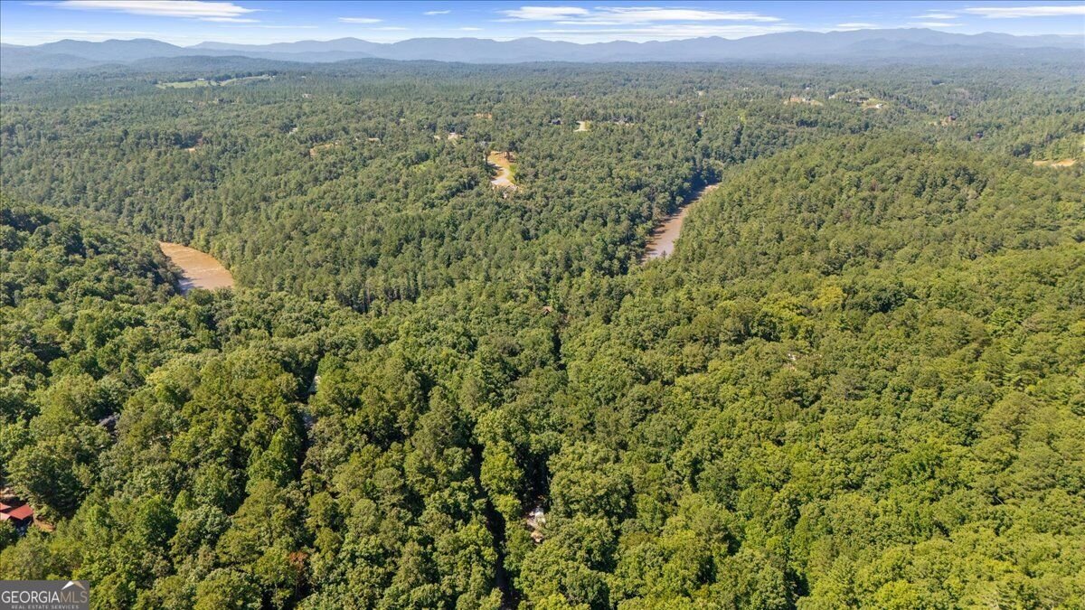 30 Chancel Circle Ellijay - Photo 50