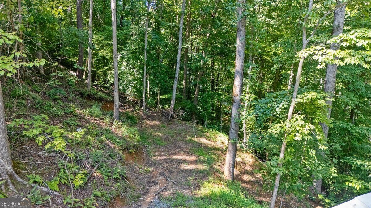 30 Chancel Circle Ellijay - Photo 54