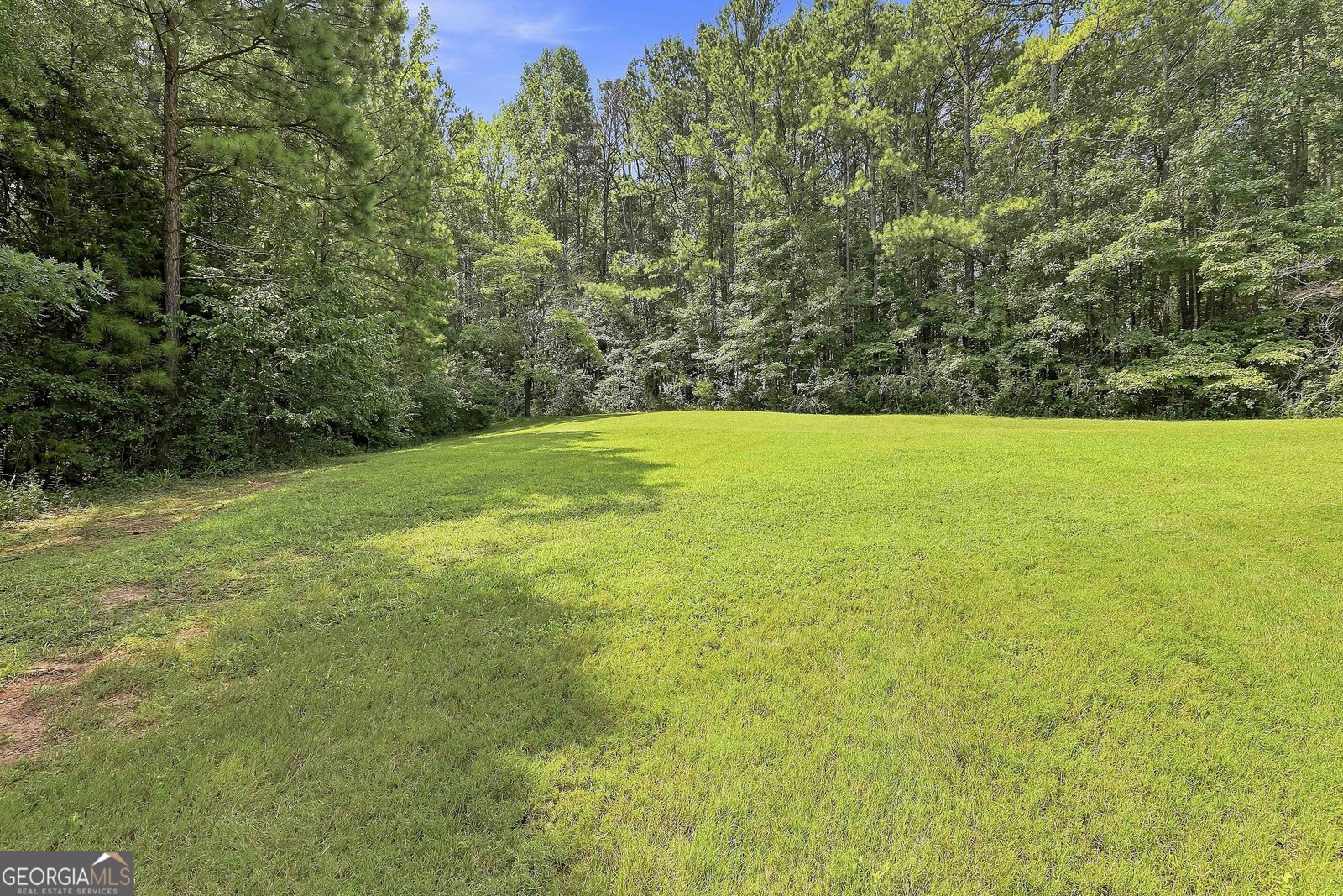 70 Double Creek Court Senoia - Photo 61