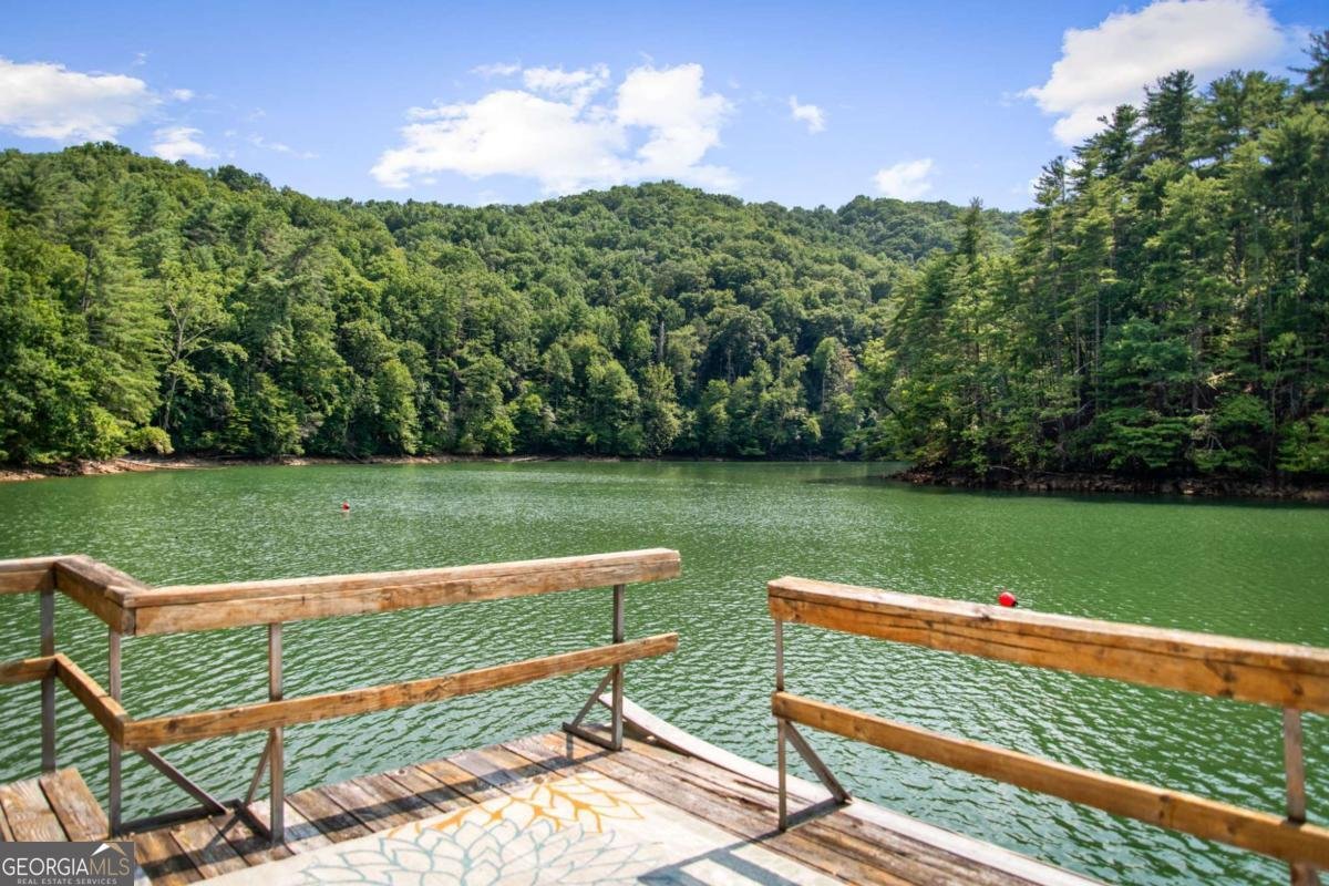 112 Tilley Ridge Road Blue Ridge - Photo 54