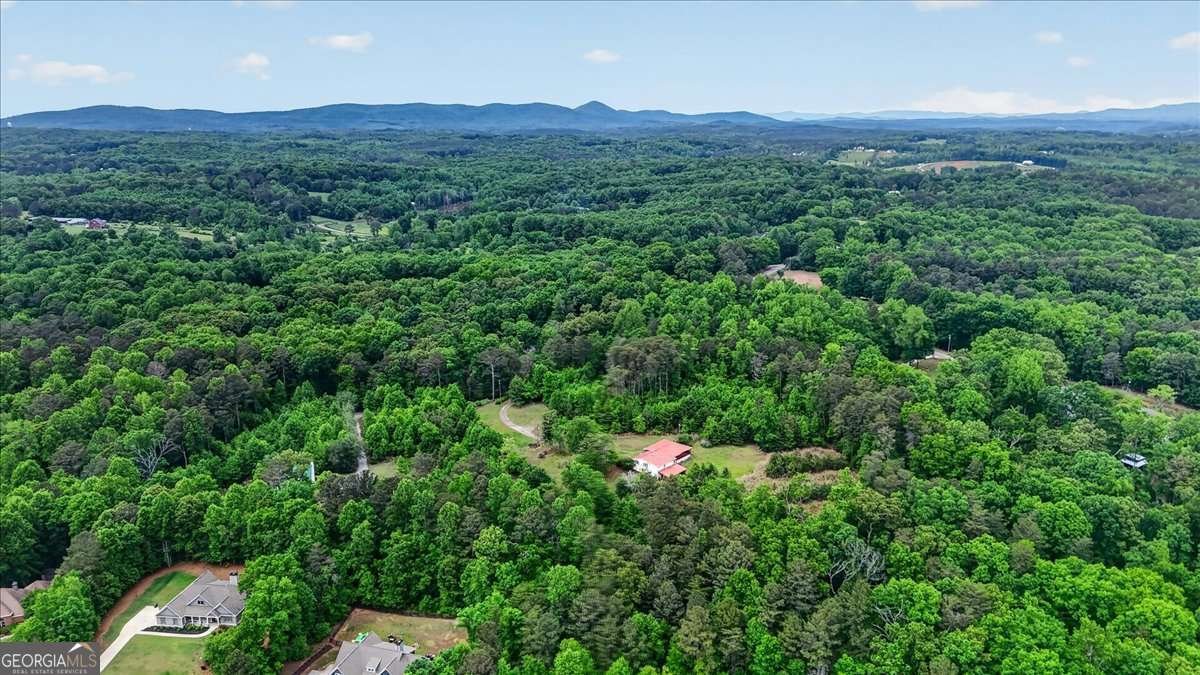 205 Upper Bethany Trail Ball Ground - Photo 11