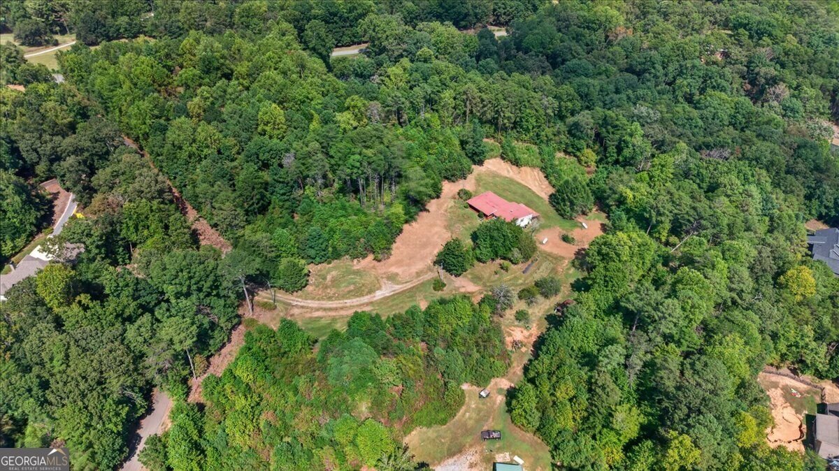 205 Upper Bethany Trail Ball Ground - Photo 35