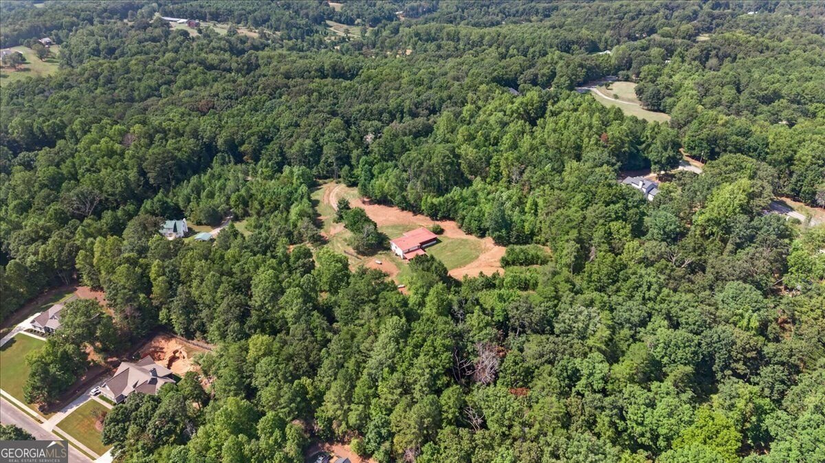 205 Upper Bethany Trail Ball Ground - Photo 38