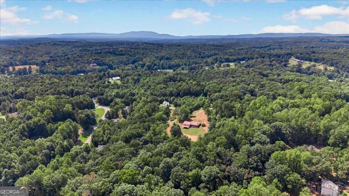 205 Upper Bethany Trail Ball Ground - Photo 39